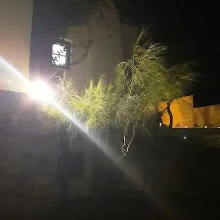 Aurelia- The Moon Jelly- η μέδουσα του φεγγαριού Holiday home