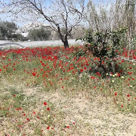 Holiday home Aurelia- The Moon Jelly- η μέδουσα του φεγγαριού *